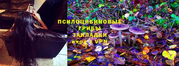 дурь Бугульма