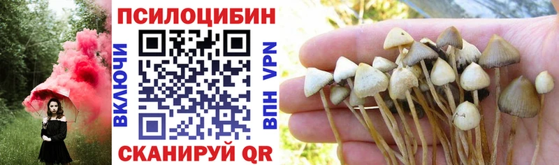 Купить  Нарткала  Галлюциногенные грибы прущие грибы 