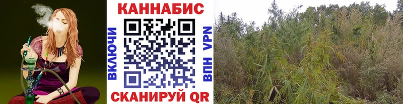 МАРИХУАНА White Widow  Купить закладки  Нарткала 